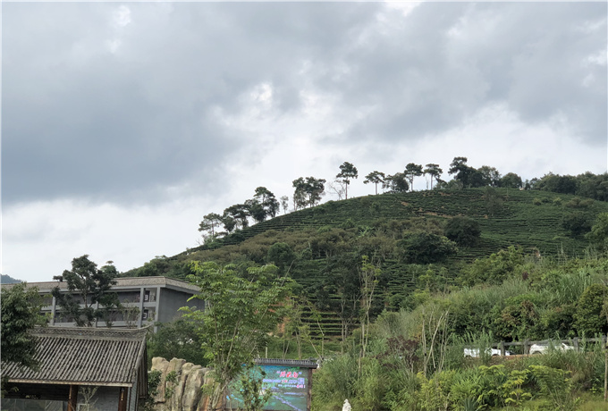 青島商務(wù)拓展會(huì)議包車(chē)—青島會(huì)議旅游